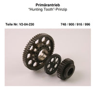 Primärantrieb geradeverzahnt